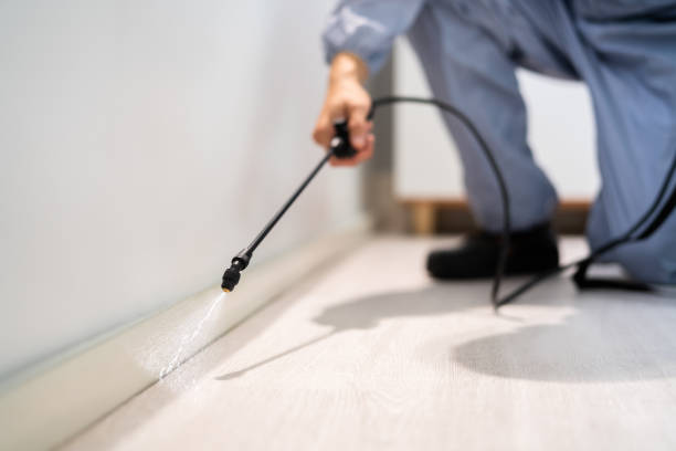 Licensed Pest Control service in West Ishpeming, MI - Show Me Pest Control