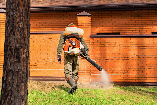 Bed Bug Clearance Verification and Documentation in West Ishpeming